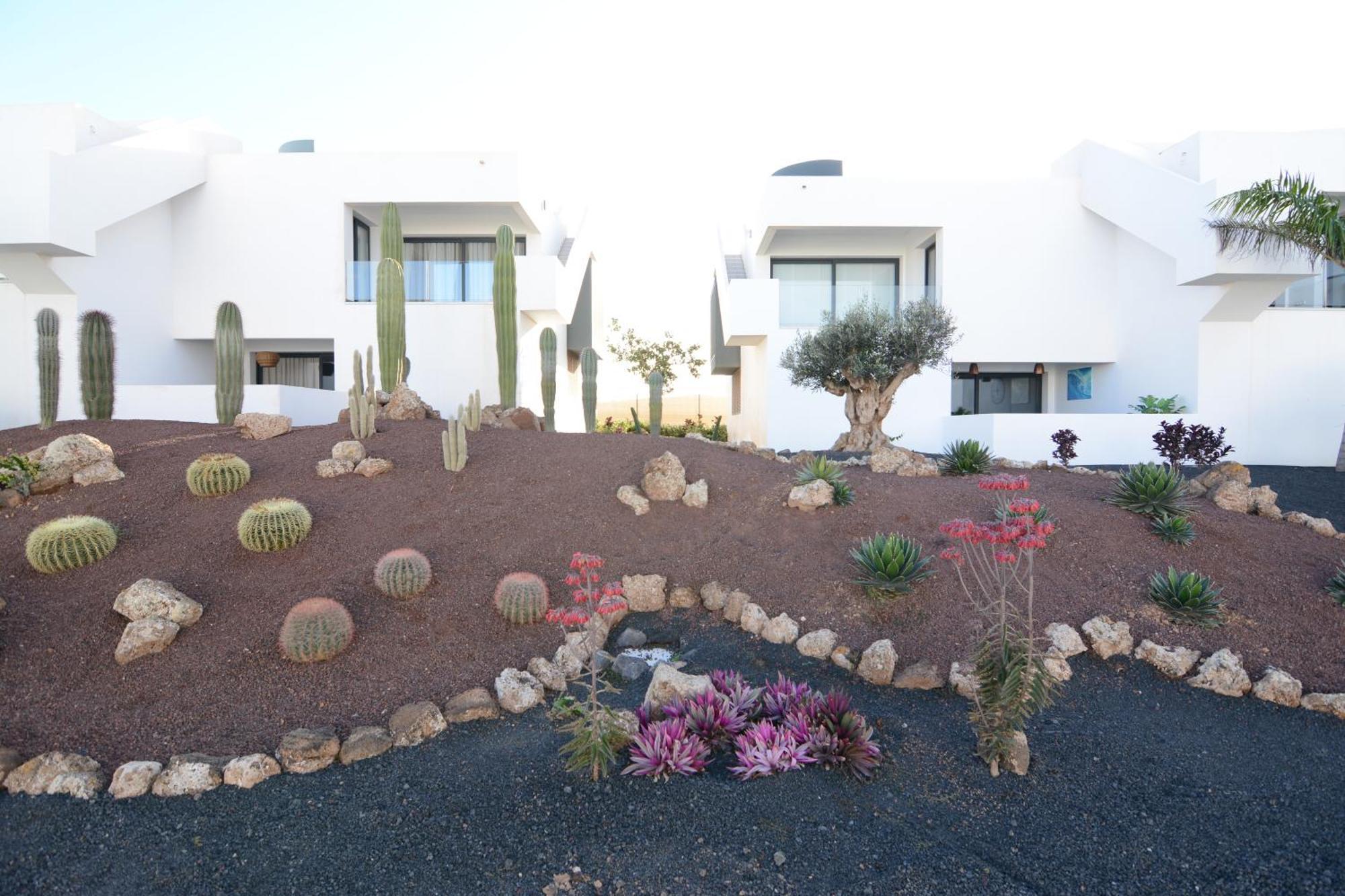 Luxury Apartment In Casilla De Costa - Casa Meva Lajares Kültér fotó